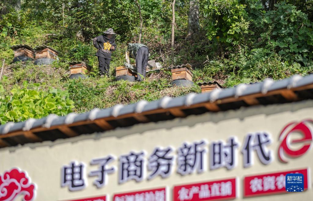 金钱豹vip贵宾相信您的选择